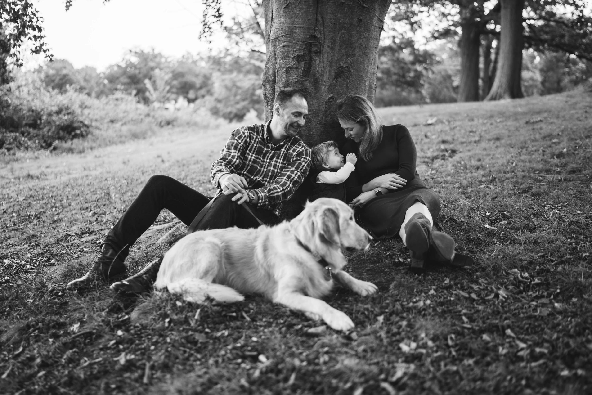Couple sitting against a tree trunk with a toddler between them, golden retriever lying in front